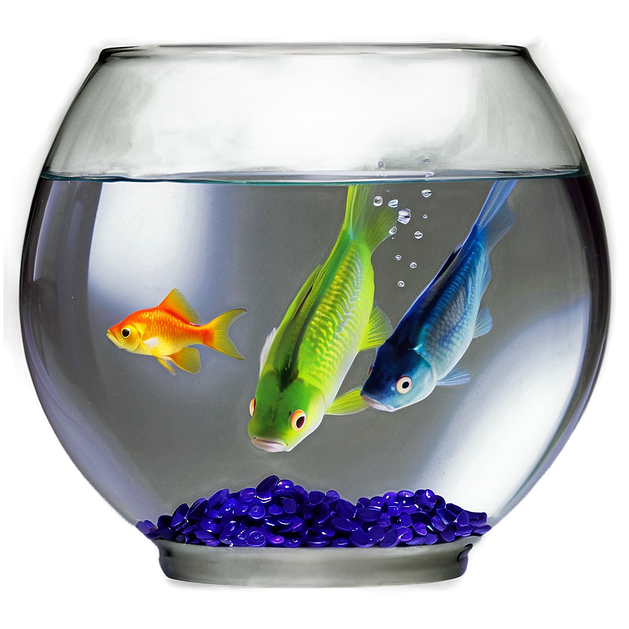 Fish Bowl Png 04292024