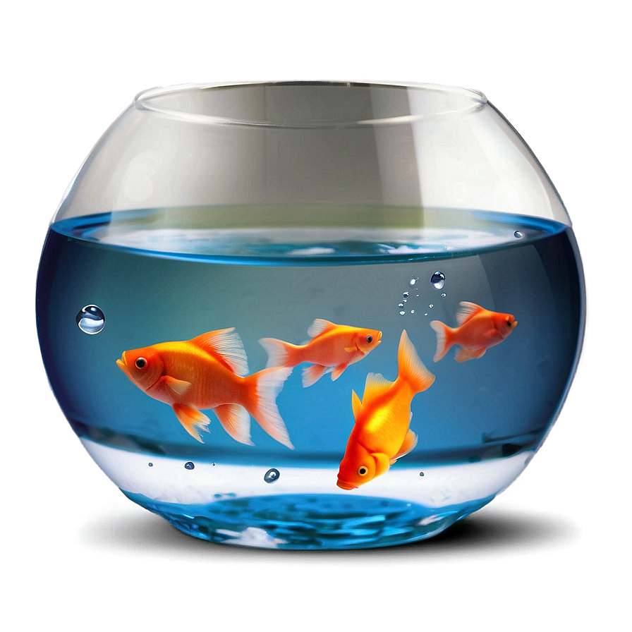 Fish Bowl Png Nxk6