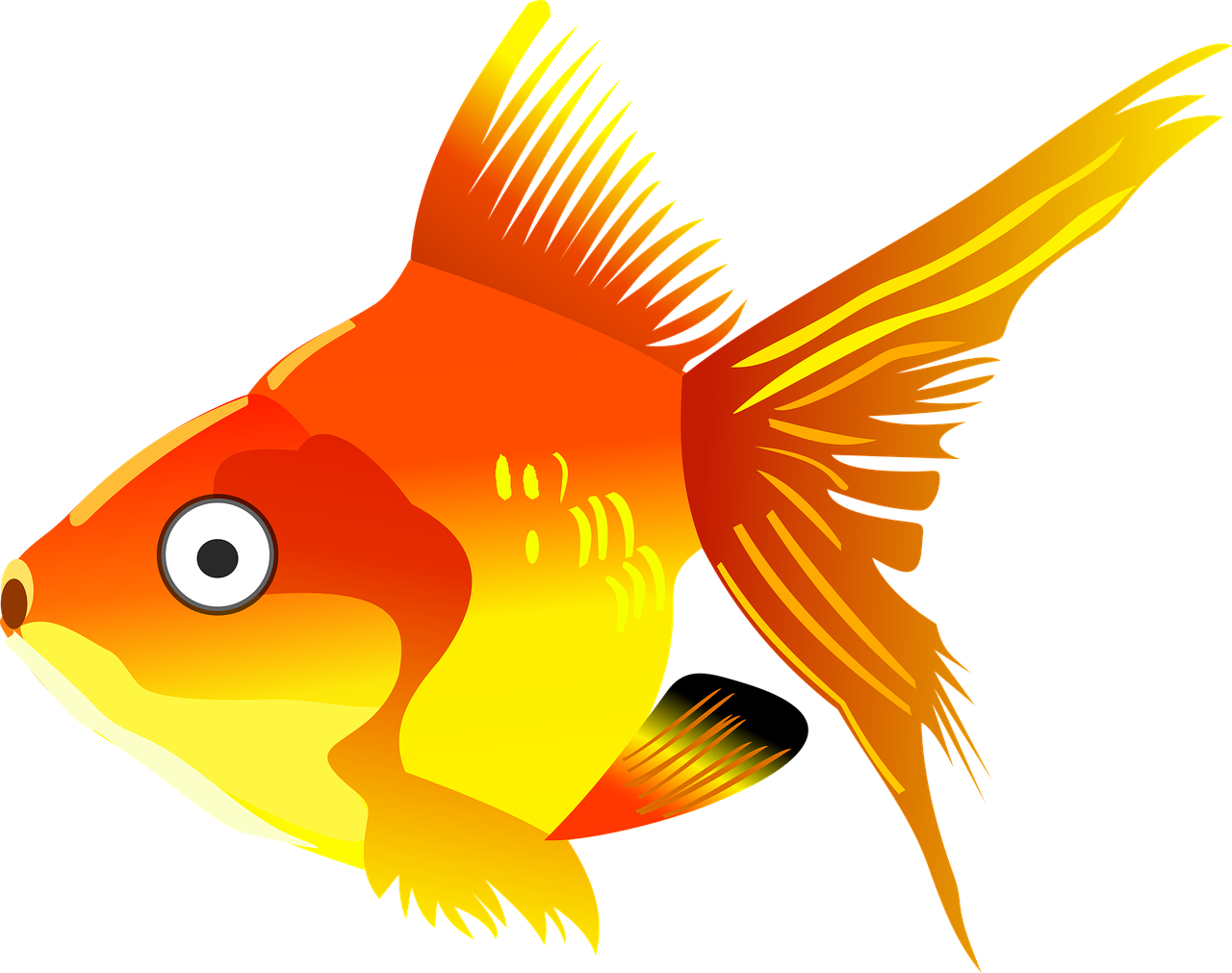 Fish Clipart Transparent Background, HD Png Download PNG with transparent background