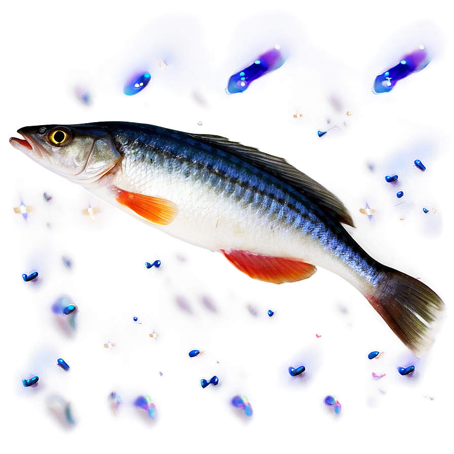 Fish Fillet Png 30