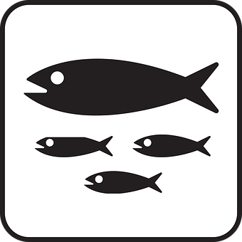 Fish Icon Set Graphic PNG with transparent background