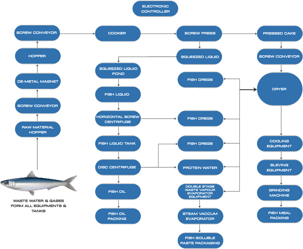 Fish Meal Production Process, HD Png Download PNG with transparent background