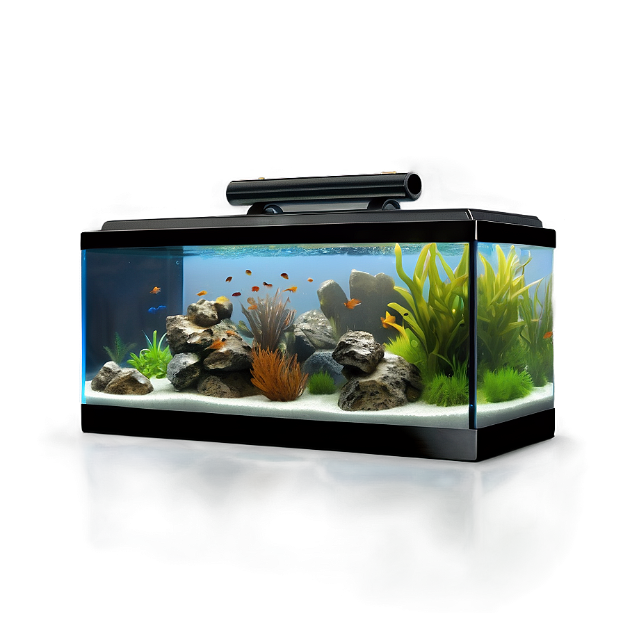 Fish Tank Clip Png 12