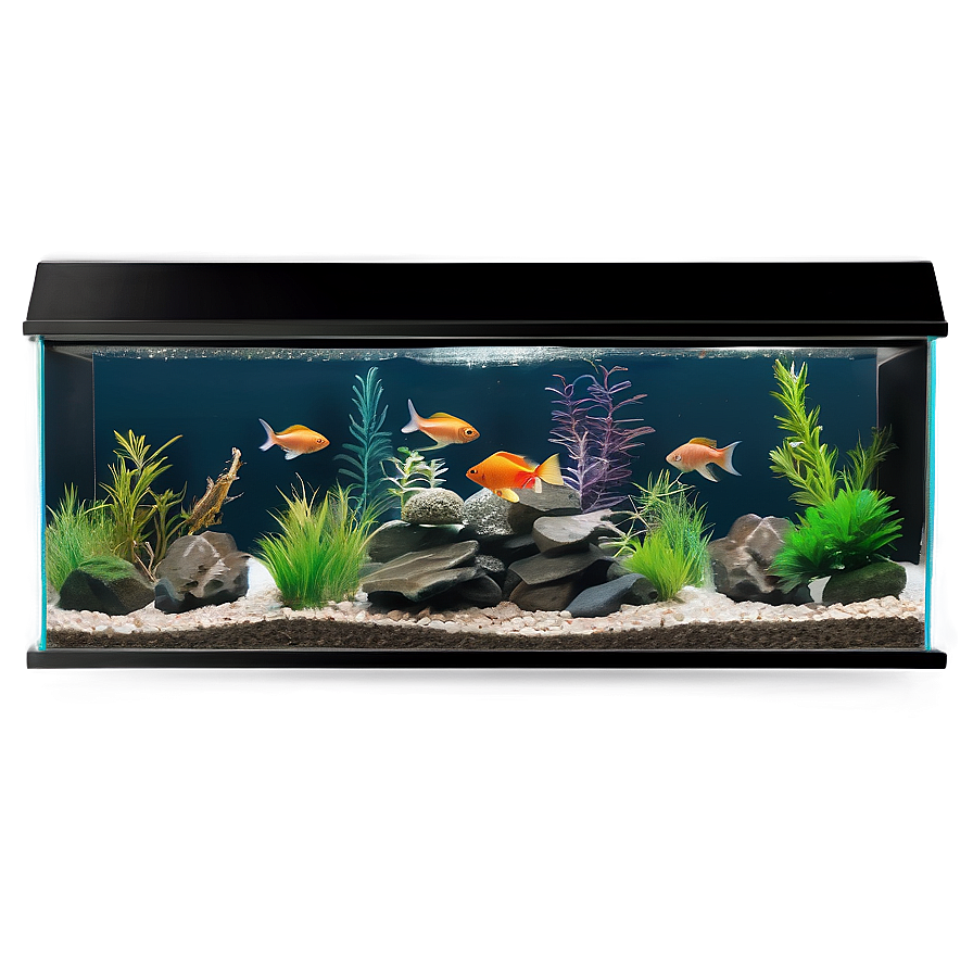 Fish Tank Gravel Png 48