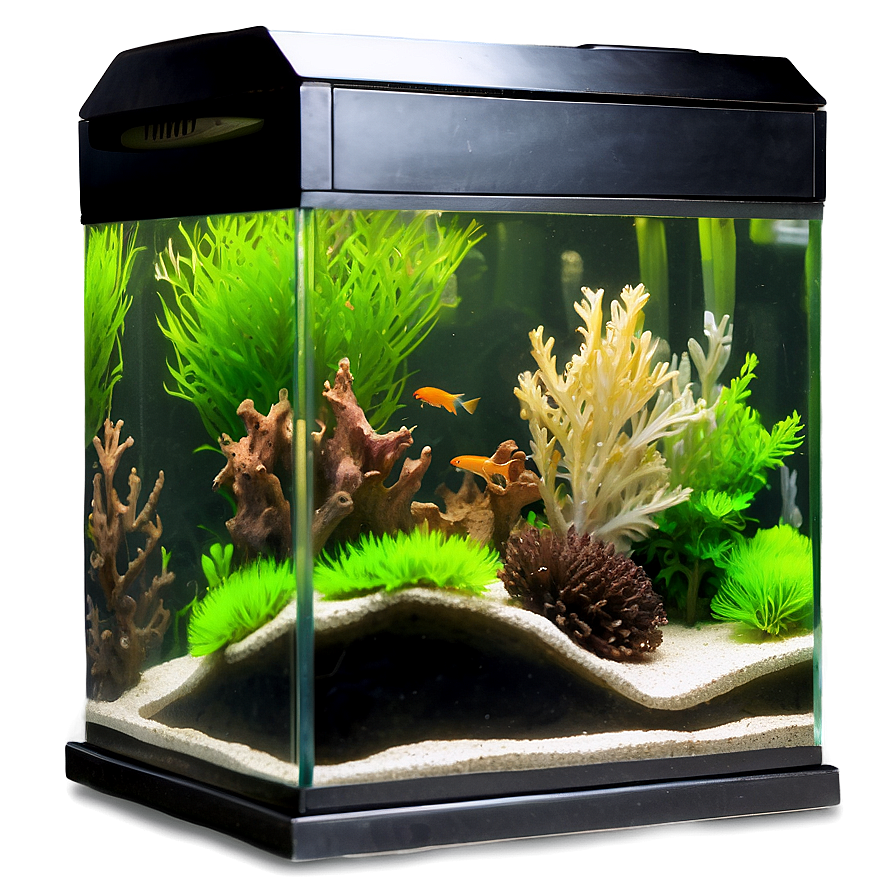 Fish Tank Landscape Png Ket13