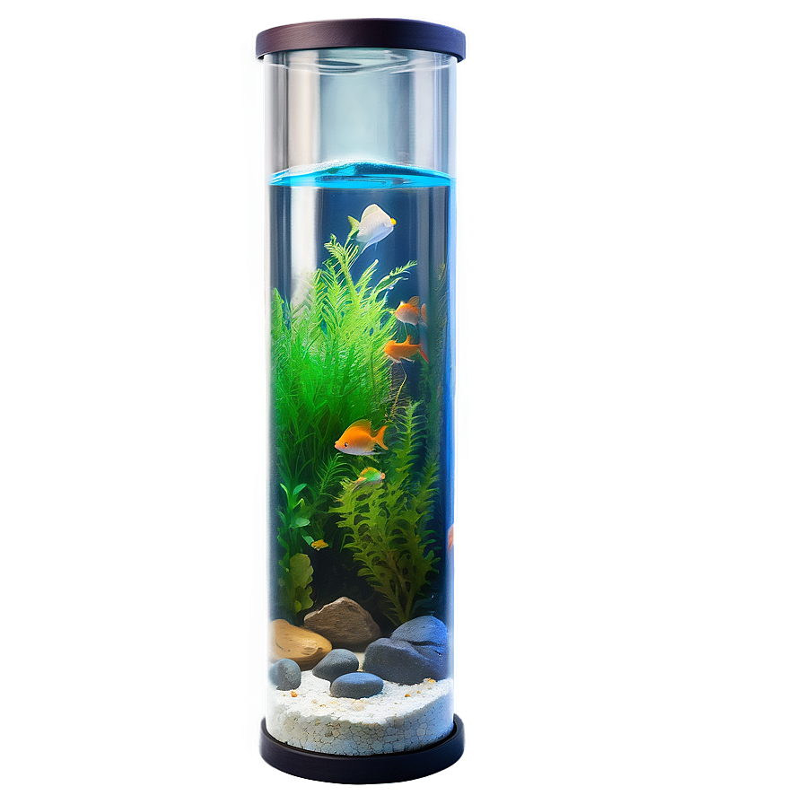 Fish Tank Png 04292024