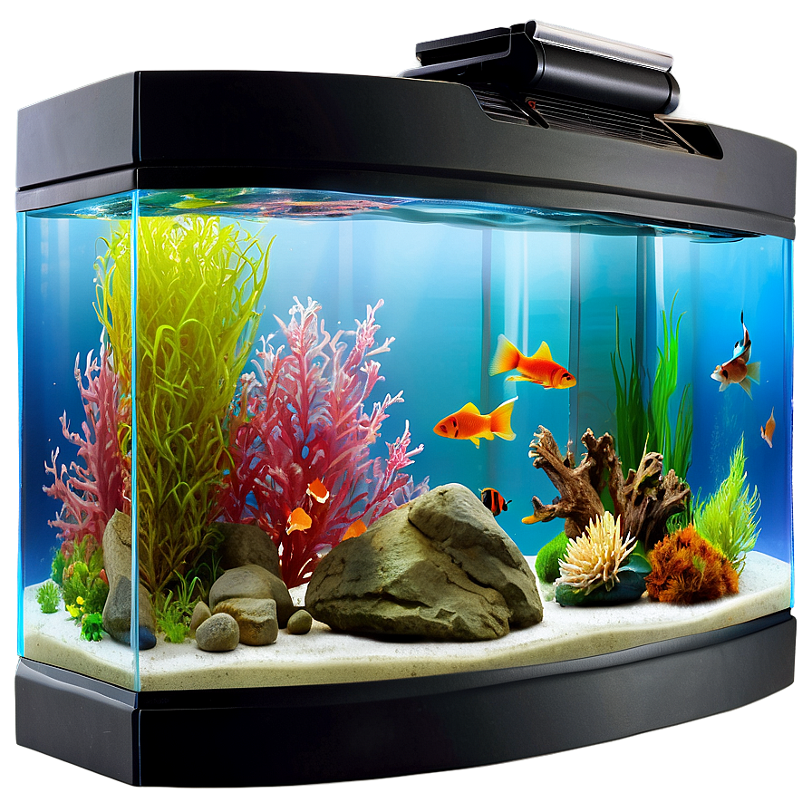 Fish Tank Png Hdr