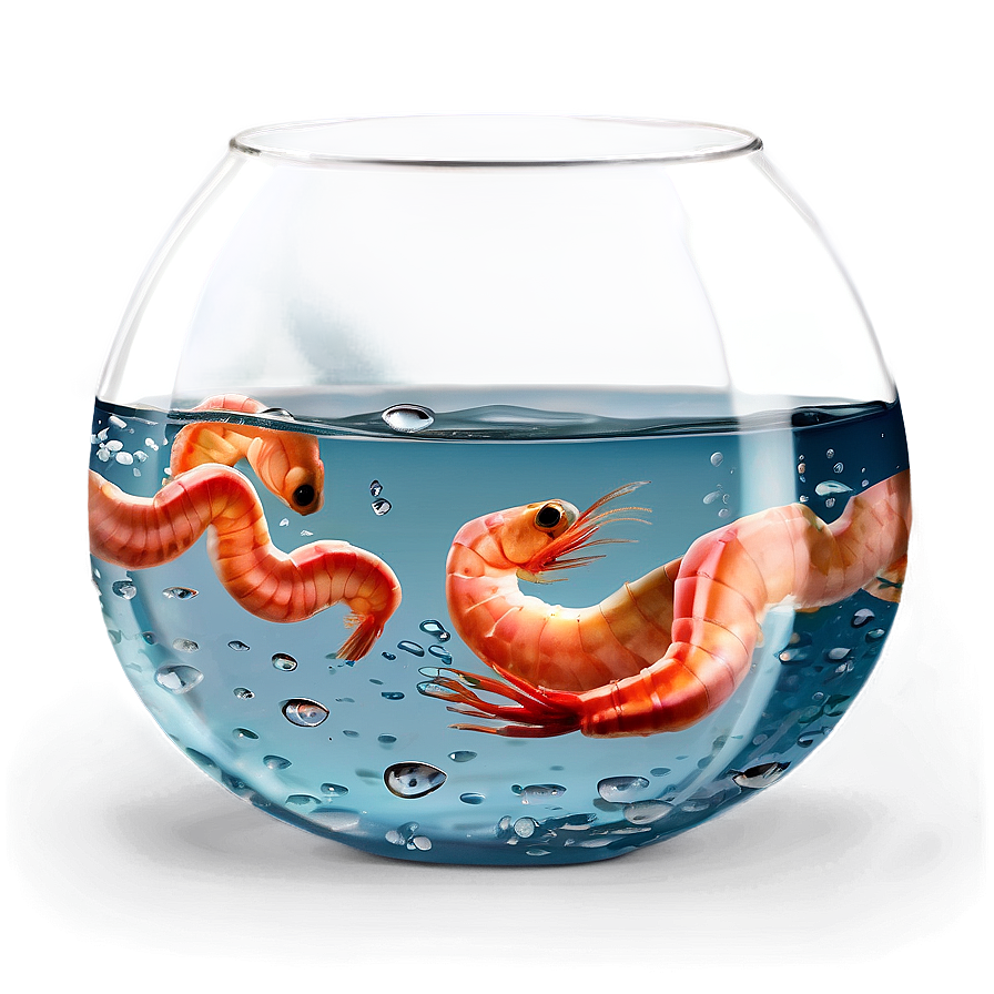 Fishbowl With Shrimp Png 06212024