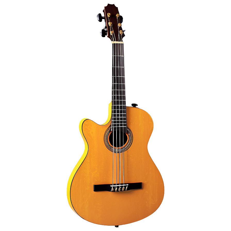 Flamenco Bass Guitar Png 24