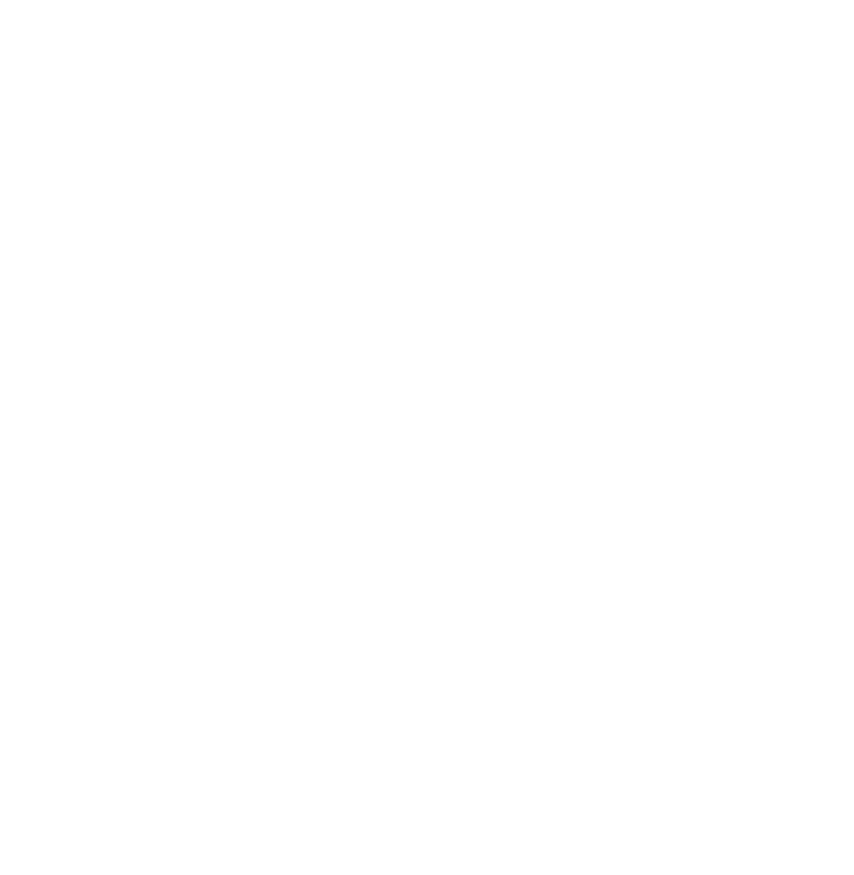 Flamengo C R Logo Emblem