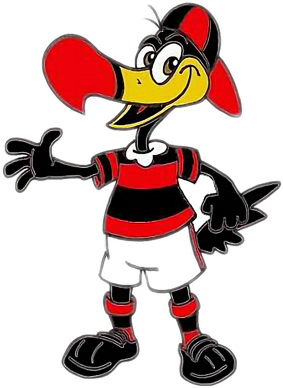 Flamengo Mascot Cartoon Character