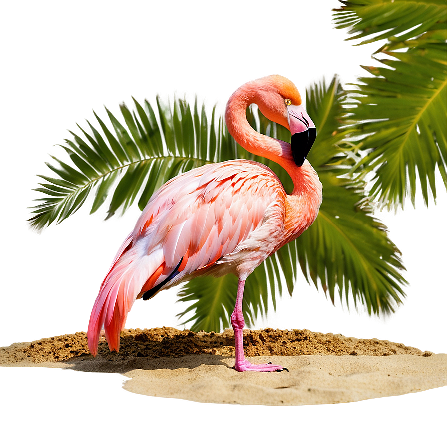 Flamingo Chilling On Beach Png 06292024