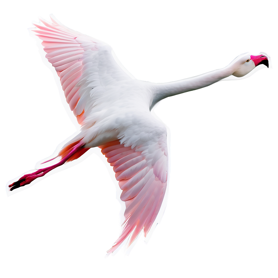 Flamingo In Flight Silhouette Png Wys19