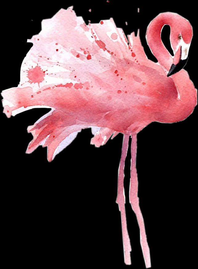 #flamingo #watercolor #freetoedit - Clip Art Transparent Background Flamingo, HD Png Download PNG with transparent background