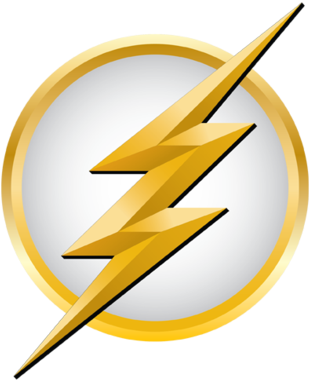 Flash Logo Icon