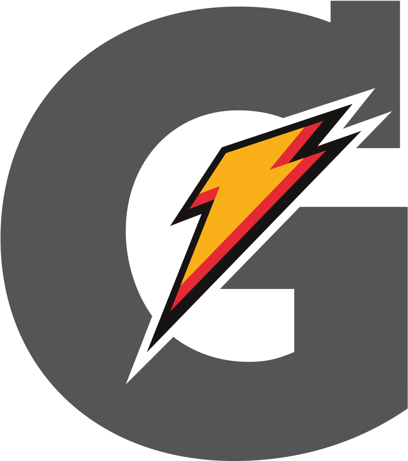 Flash Logo Icon