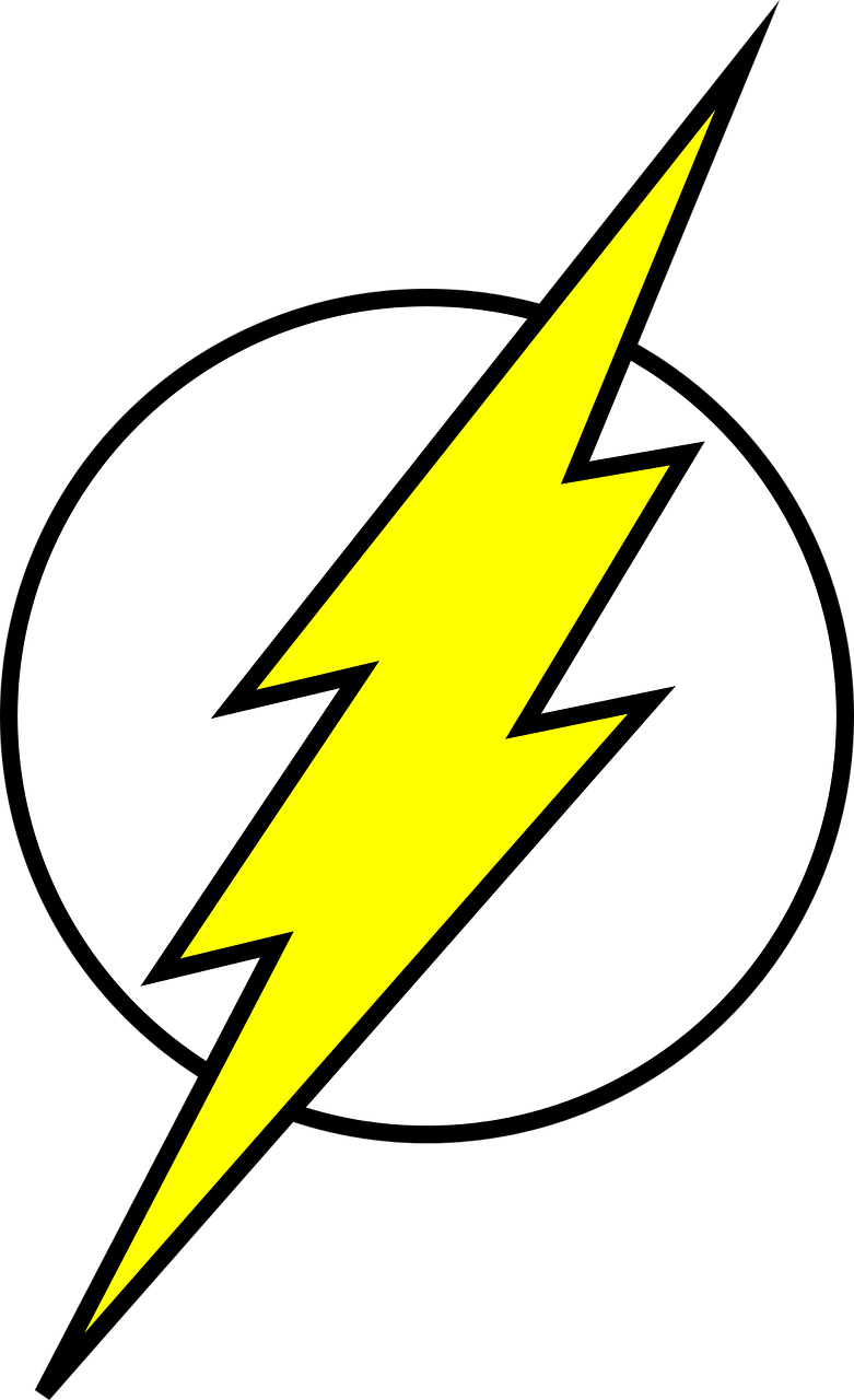 Flash Symbol Iconic Logo