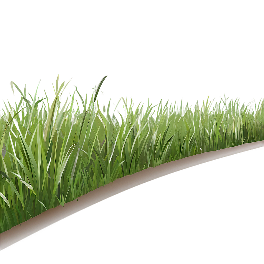 Flat Grass Clipart Png 06272024