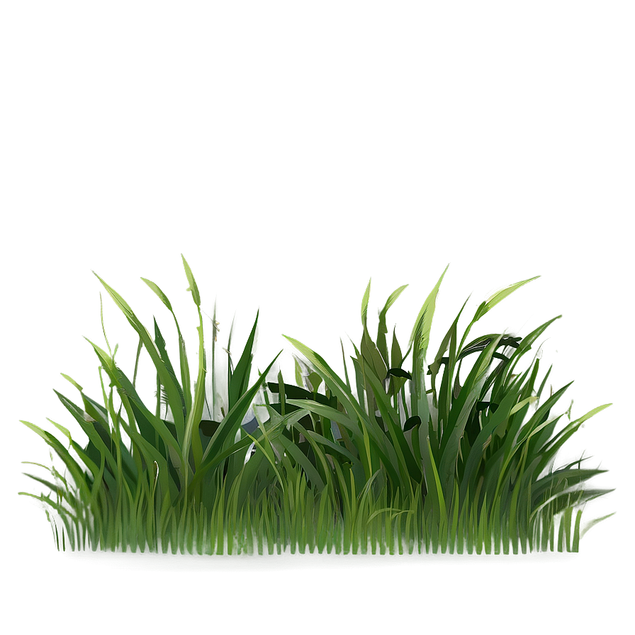 Flat Grass Clipart Png 66