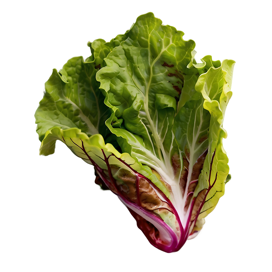 Flat Leaf Lettuce Png 11