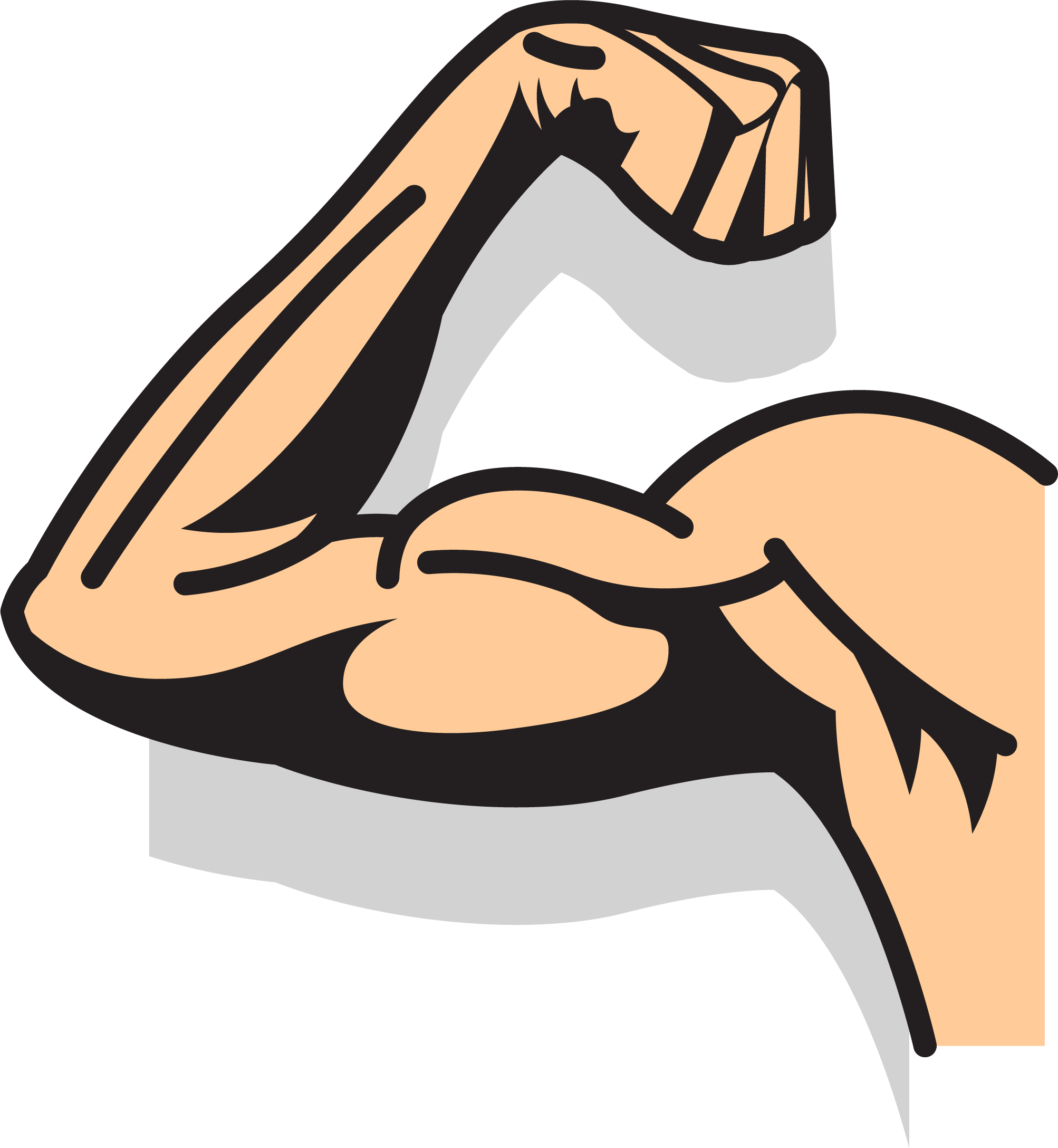 Clip Art Cartoon Arm - Strong Arm Cartoon Png, Transparent Png PNG image with a transparent background, free high-resolution download
