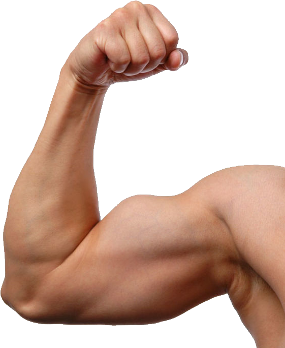 Flexed Bicep Muscular Arm.png