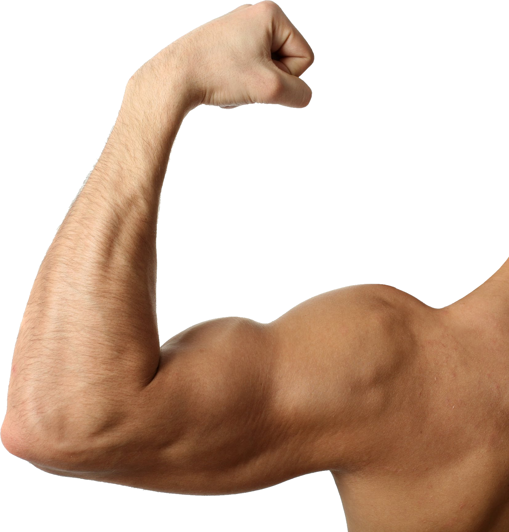 Flexed Bicep Muscular Arm