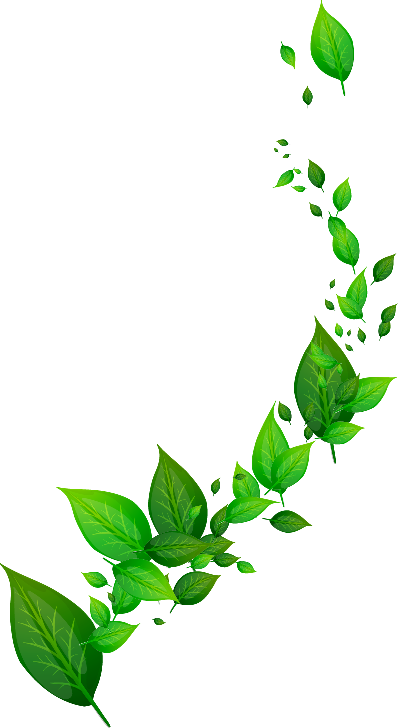 Floating Green Leaves Design PNG with transparent background