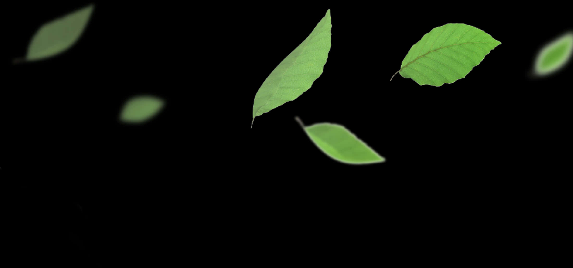 Floating Green Leaveson Black Background PNG with transparent background