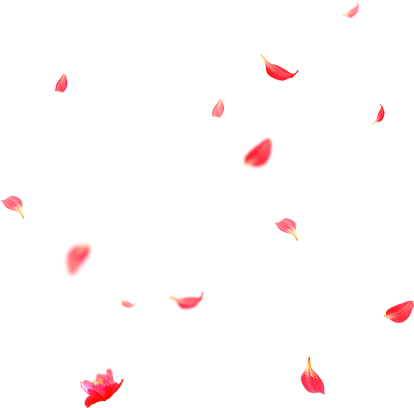 Heart, HD Png Download PNG with transparent background