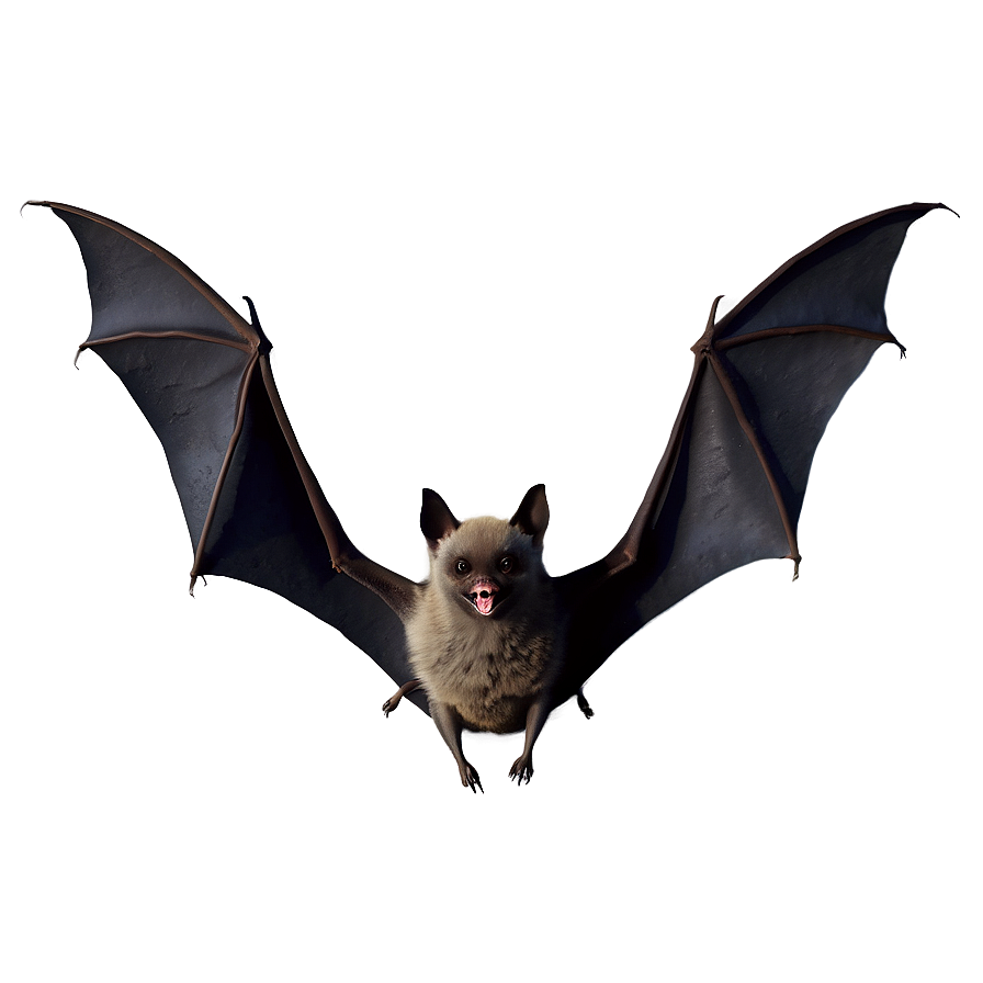 Flock Of Bats Png 18