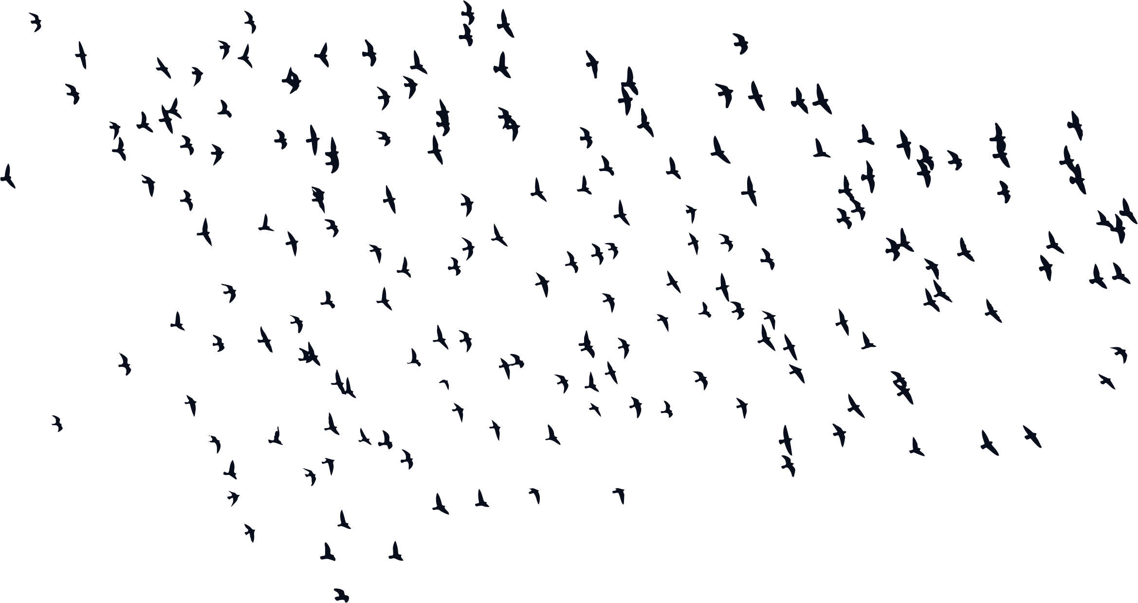 Flock_of_ Birds_in_ Flight_ Silhouette