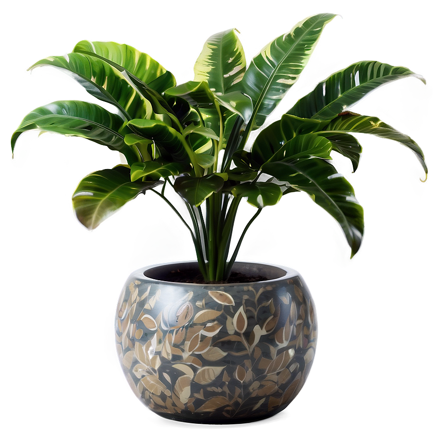 Floor Plant Clipart Png 15