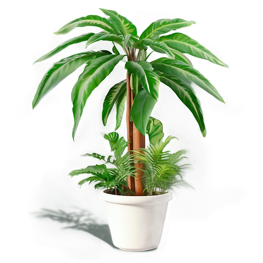 Floor Plant Design Png Ksp