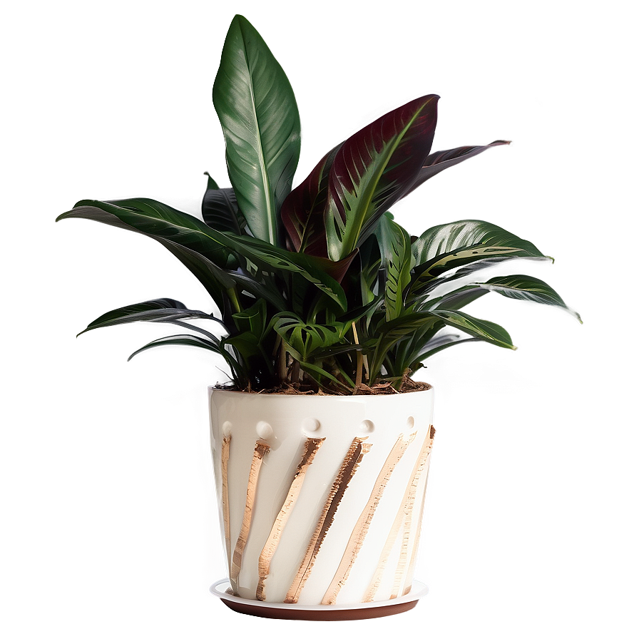 Floor Plant In Home Decor Png 06282024 Image