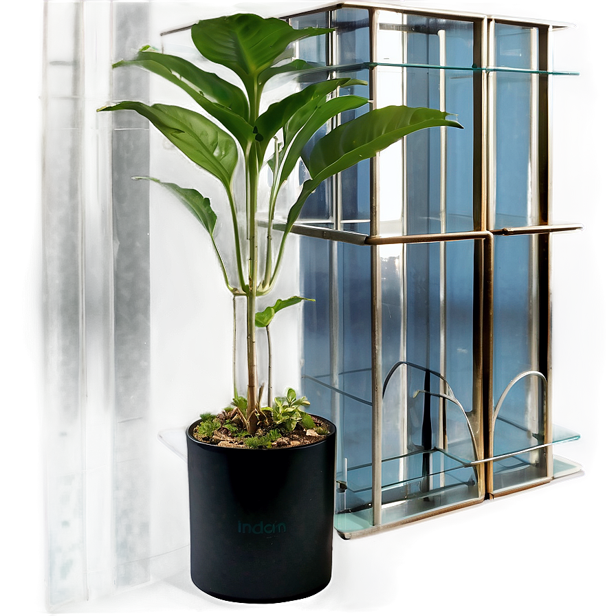 Floor Plant In Home Decor Png 90