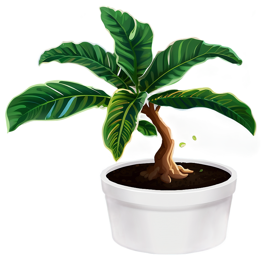 Floor Plant In Pot Png 06282024