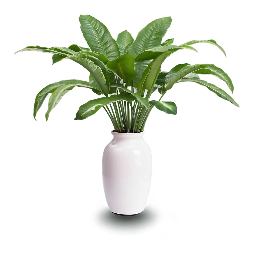 Floor Plant In Vase Png 06282024