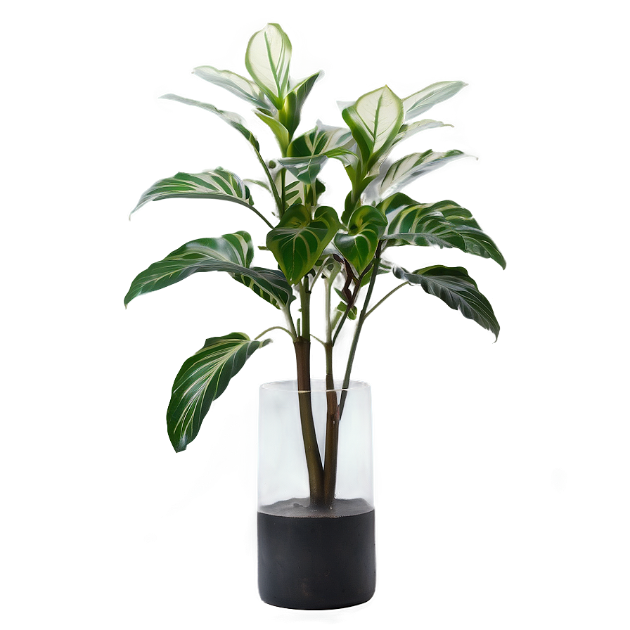 Floor Plant In Vase Png 17