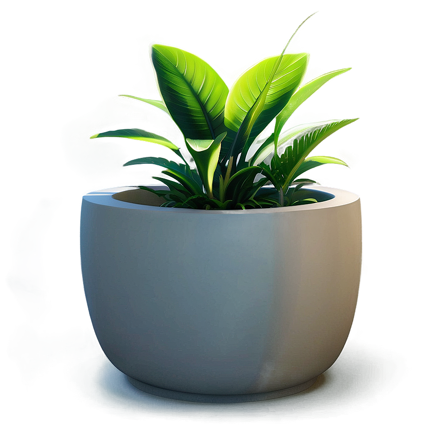 Floor Plant Scene Png Ian