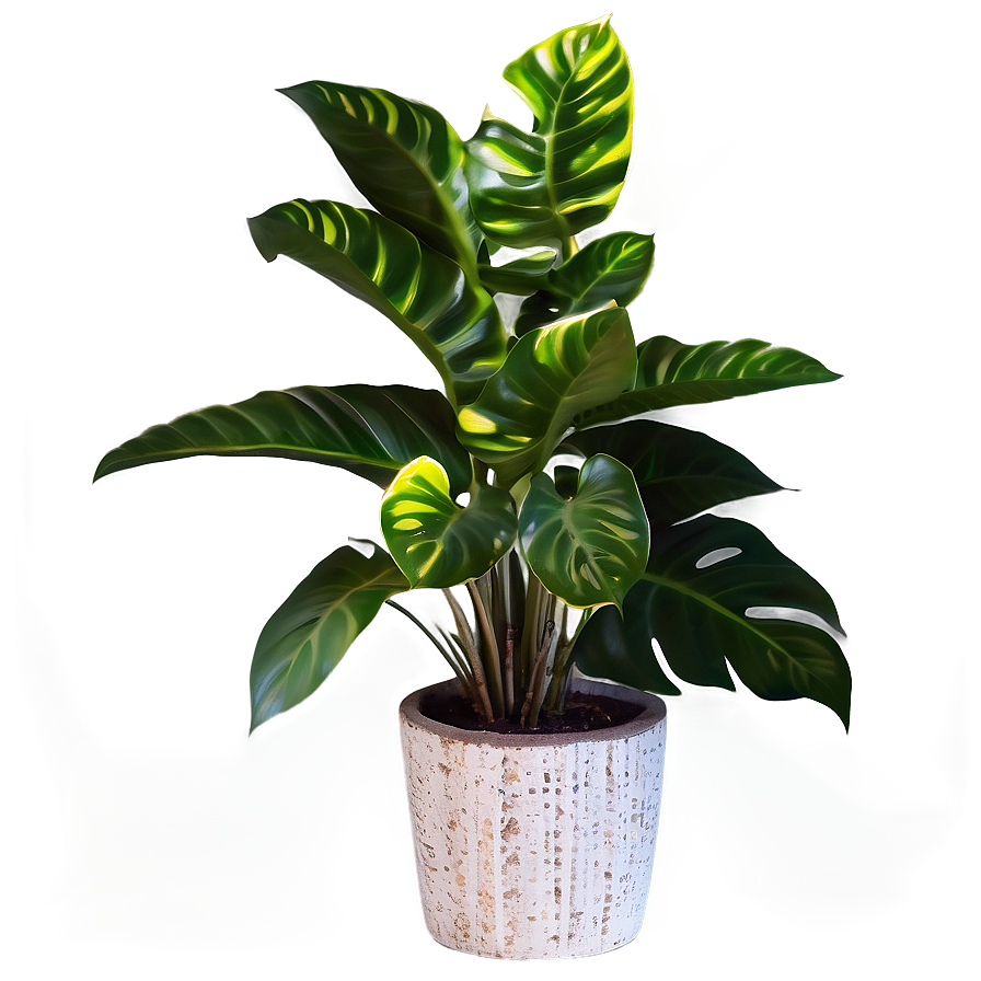 Floor Plant With Flowers Png 06282024