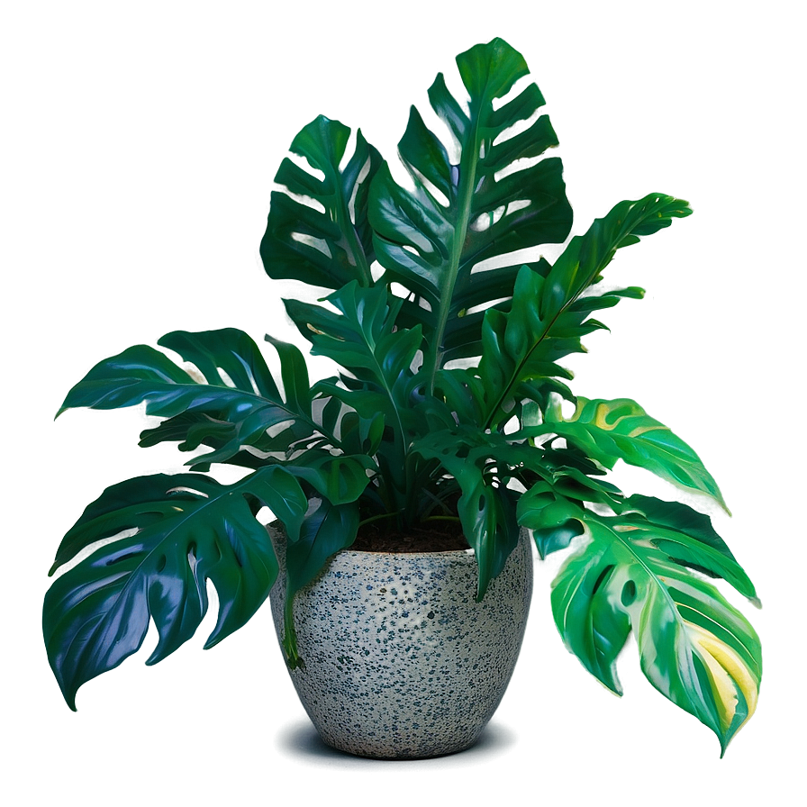 Floor Plant With Leaves Png Nea