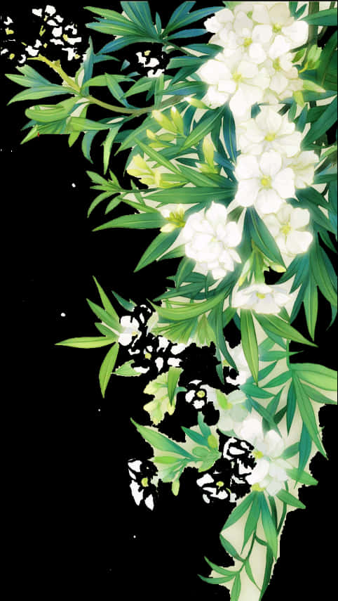 #white #flower #nature #border #leaves #landscape - Border White Flower Png, Transparent Png PNG image with a transparent background, free high-resolution download