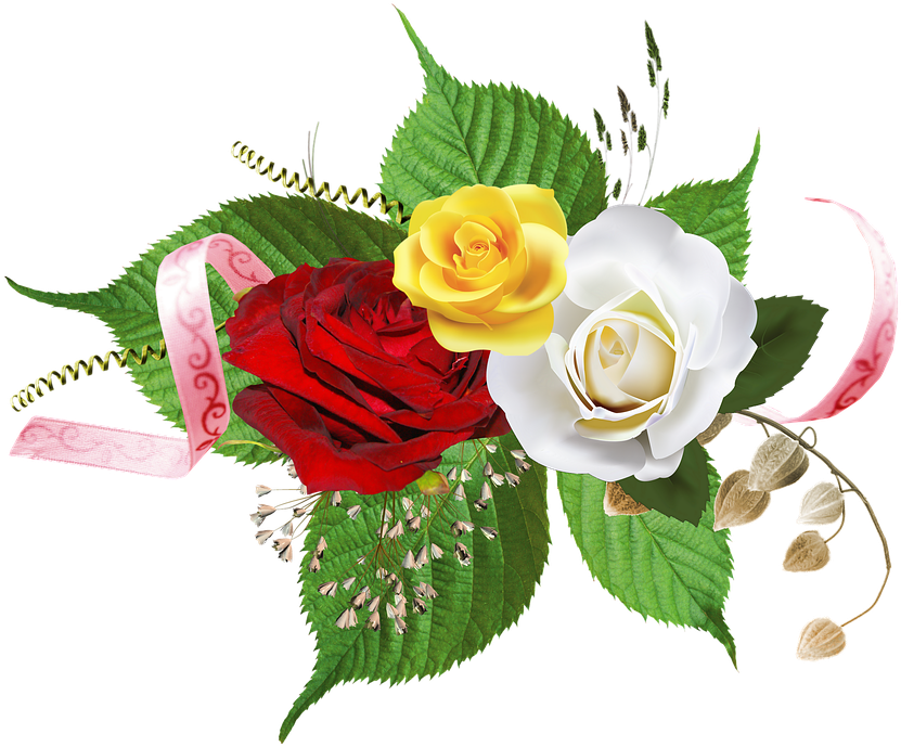 Thumb Image, HD Png Download