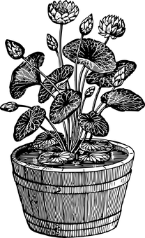 Floral Black Background PNG with transparent background