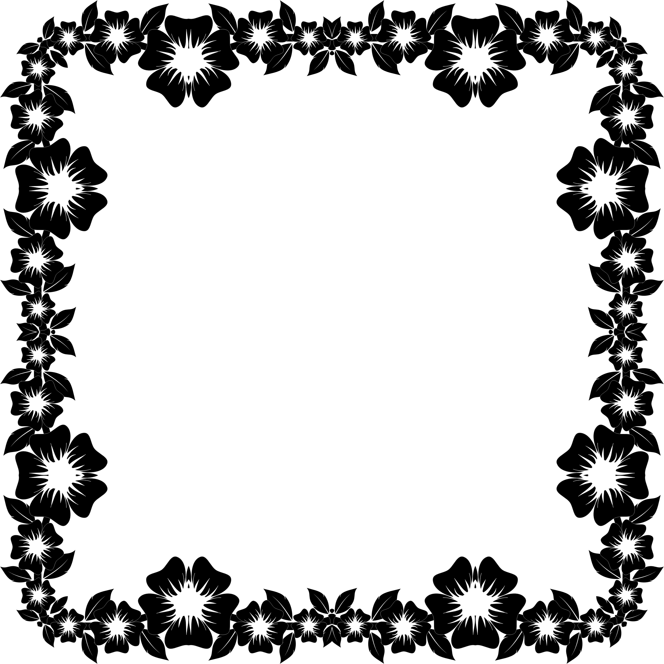 Floral Black Frame Design PNG image with a transparent background, free high-resolution download