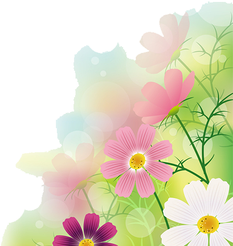 Floral Bokeh Background PNG with transparent background