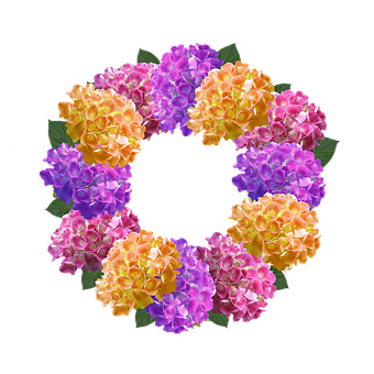 Floral Crown Design PNG with transparent background