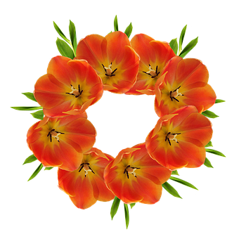 Floral Crown Design PNG with transparent background