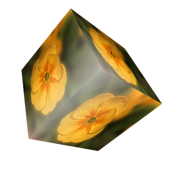 Floral Cube Illusion PNG with transparent background